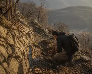 Hiker kneels on a rocky path between vineyard rows and stone walls, softly lit at golden hour, focusing on the earth with alpine hills in the background.