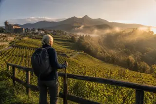 Mature hiker pausing at a fence, gazing over misty, sloped vineyards and forest edge at sunrise near a rustic village