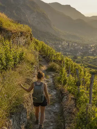 Hiker at golden hour on a vineyard path in Savoie, touching wild grasses between biodynamic vine rows, mountain village visible in the background.