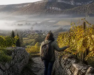 A lone hiker in a jacket pauses on a vineyard path at sunrise, touching a vine and gazing over misty valleys and patchwork Bugey hills, surrounded by autumn colors.