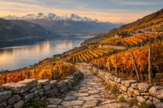 Steep terraced alpine vineyards above Lac du Bourget with snow-capped peaks, golden autumn vines, and a winding stone path, under soft natural light.